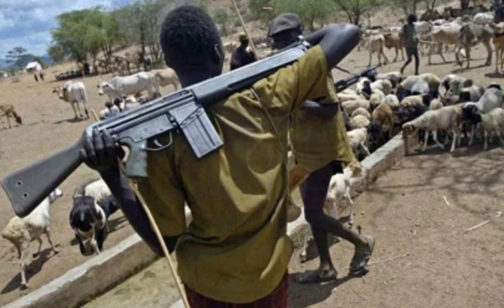 Three farmers reportedly killed in Ondo forest by herdsmen