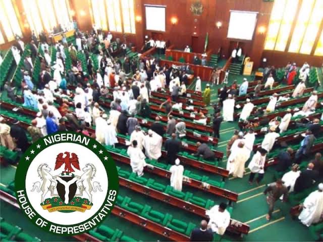 Reps Minority Caucus Rejects Sole Administrator For NDDC