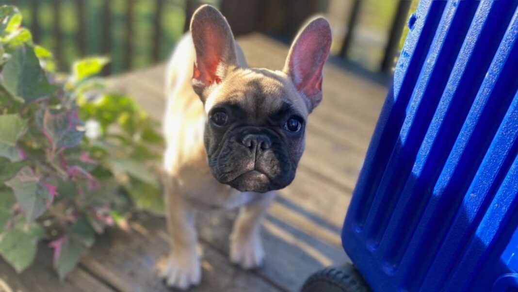 C0648DD5-0C6A-4E14-AE09-123770F27170