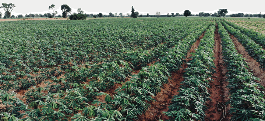 NSE donates 50 water pumps to irrigation farmers in Borno