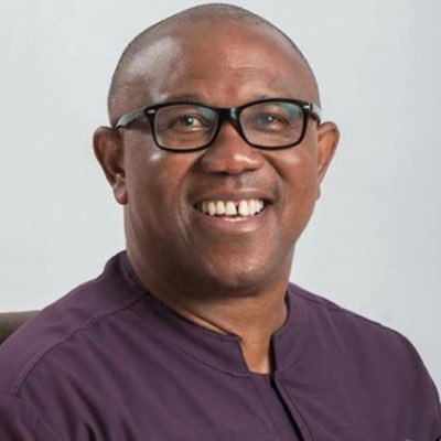 2023: South-East, Middle Belt Forum Endorses Peter Obi