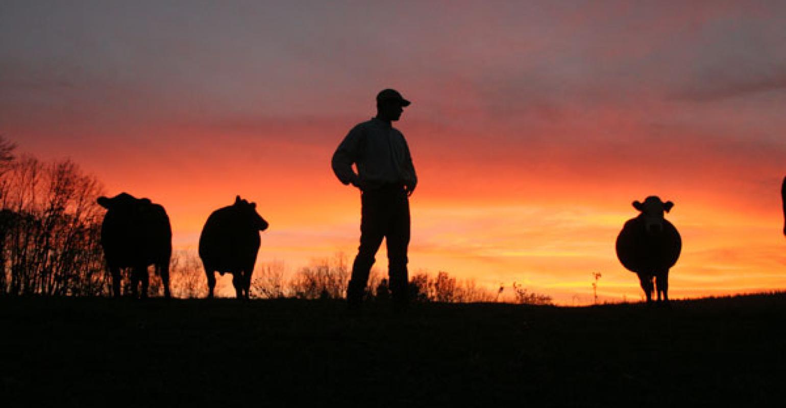 North Central Governors Adopt Ranching as best way of raising livestock