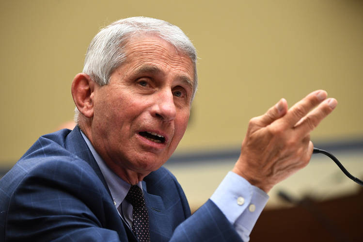 Fauci accepts to be Biden's Chief Medical Adviser On COVID-19 Team