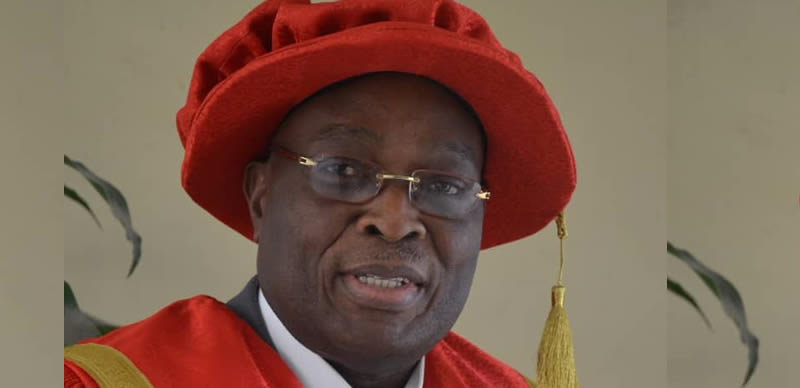 Damola Oke appointed acting LASU VC