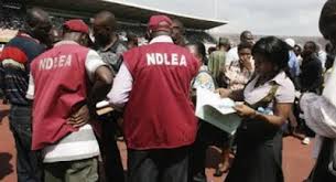 Sokoto NDLEA Adopts Rapid Response Method To Curtail Drug Abuse