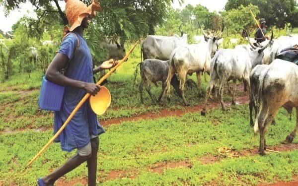 Farmer Dies In Ibadan After Fulani Herdsmen Set His Cashew Farm Ablaze