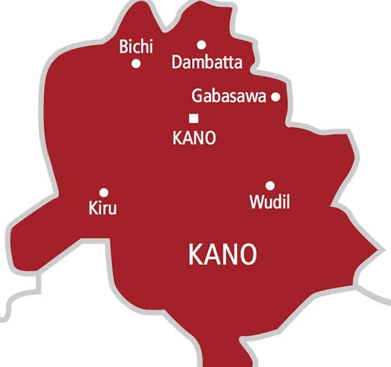 Kano records 118 new leprosy cases
