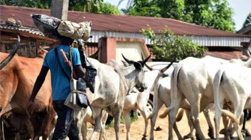 Fulani Kidnappers use Generators, Play Music Inside The Forest-Ondo