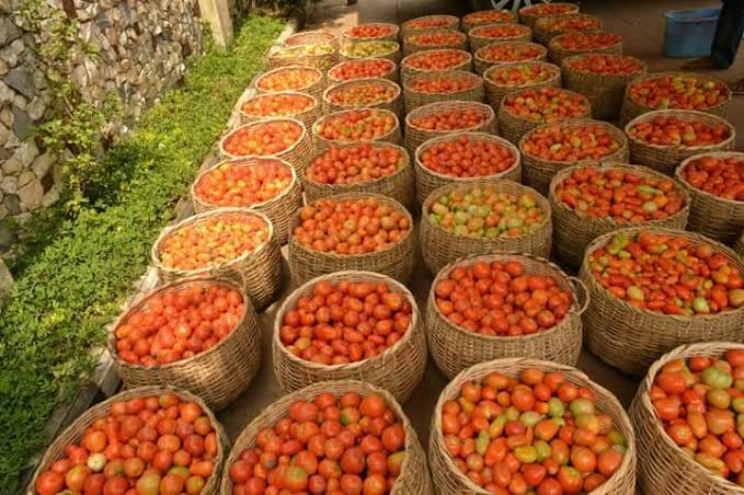 Shortage Of Beef, Tomatoes, Onions Loom In Southern Nigeria