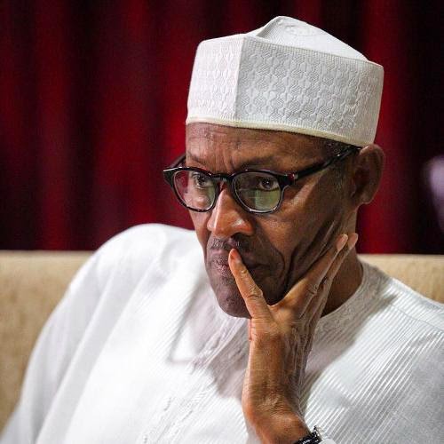 Nigerians Should Not Depend On Buhari Alone For Security – Femi Adesina
