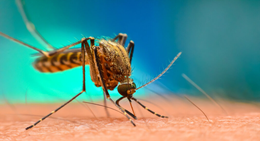 Nigeria records Malarial decline from 42% to 22% in 11years – NMIS Report