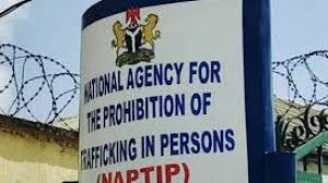 NAPTIP rescues 1,444 human trafficking victims