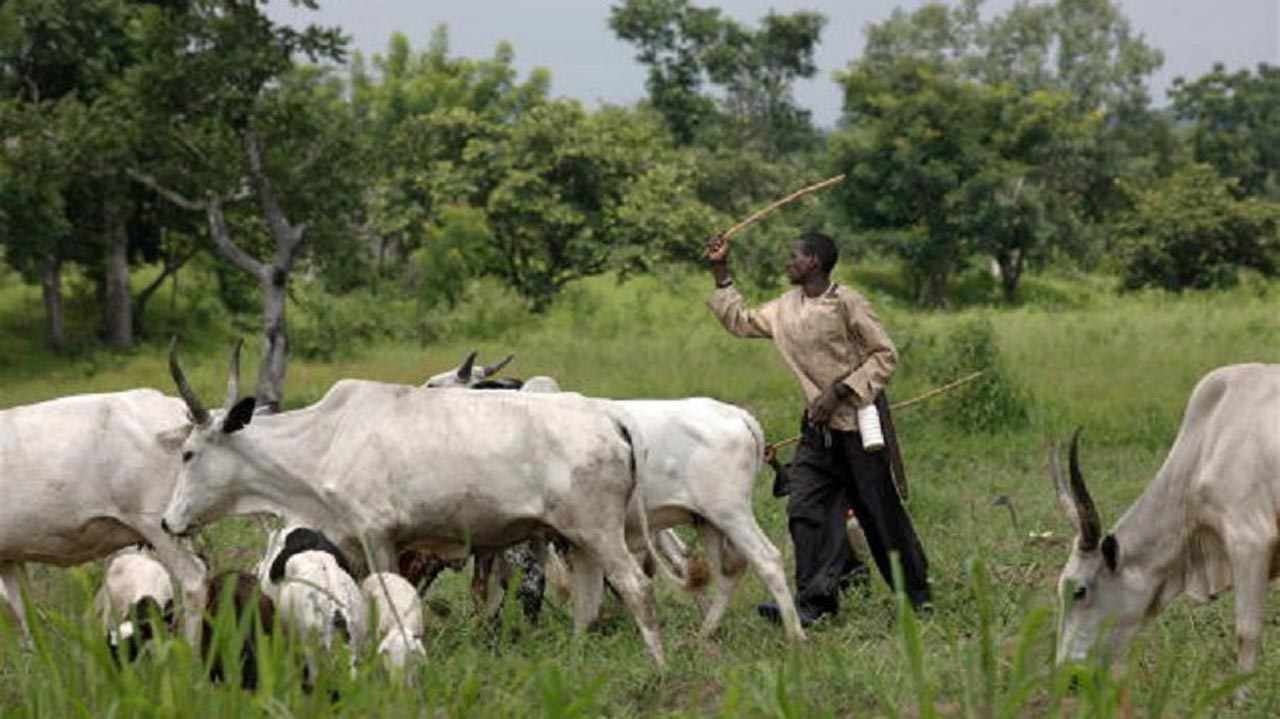 Miyetti Allah gives Southern Governors conditions to accept ban on Open Grazing