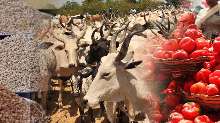 Northern Food Dealers Agree To Lift Ban on Food Supply to Southern Nigeria