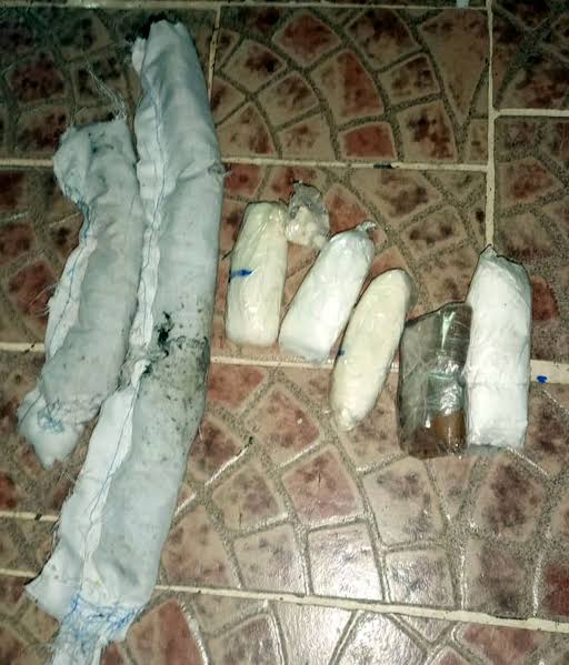 Drug-runner’s cat caught trying to sneak narcotics into Panama prison