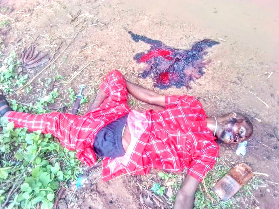 Insecurity: Two Notorious Robbers, Kidnappers Meet Their Waterloo In Dekina