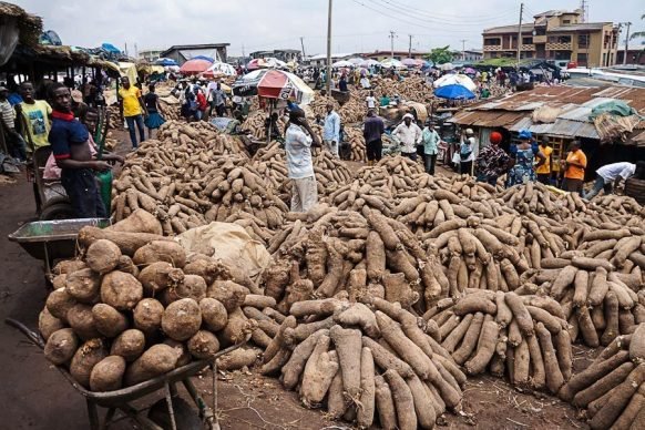 New Yam Festival: Agency Boss Tasks Farmers On Food Security In Nigeria