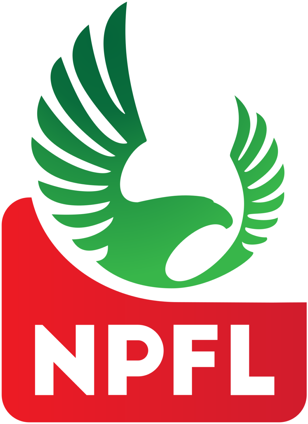 NPFL: Nasarawa Utd Bags 2nd position with home win