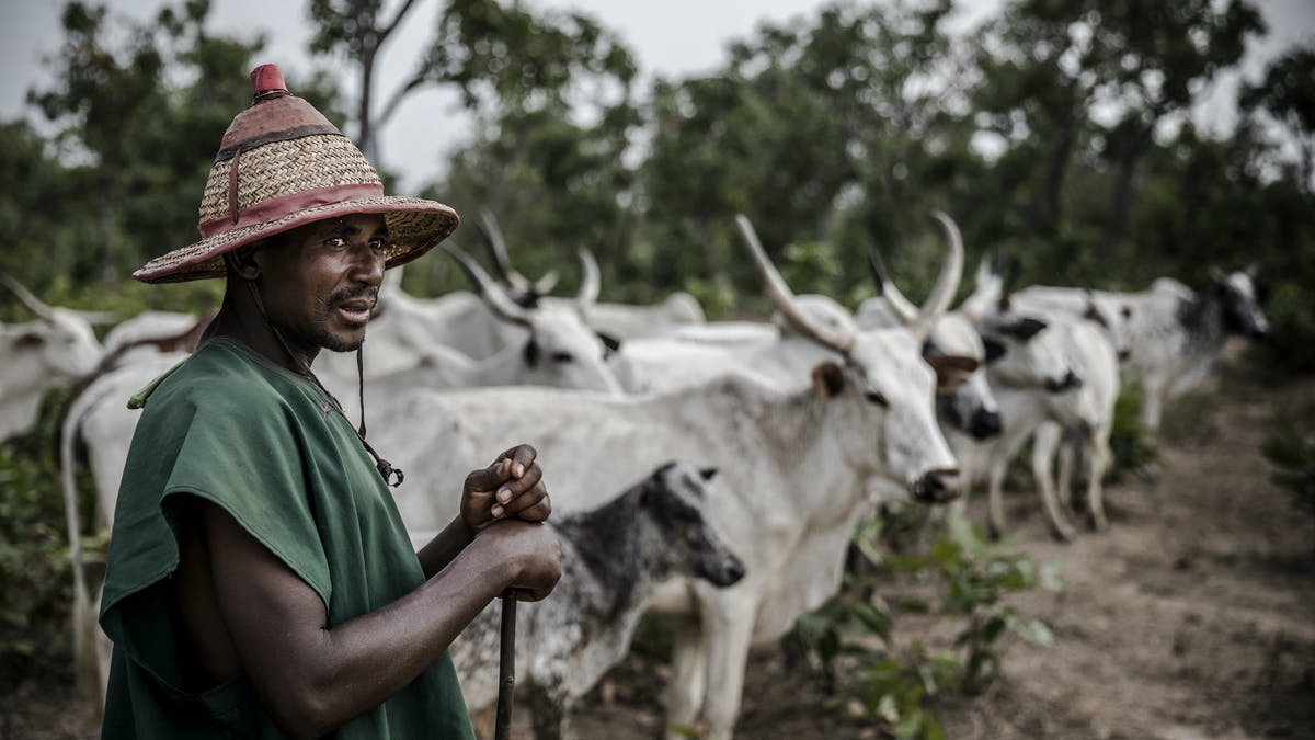 AFAN, Miyetti Allah Bows To End Farmers/Herders Clashes In Jigawa State