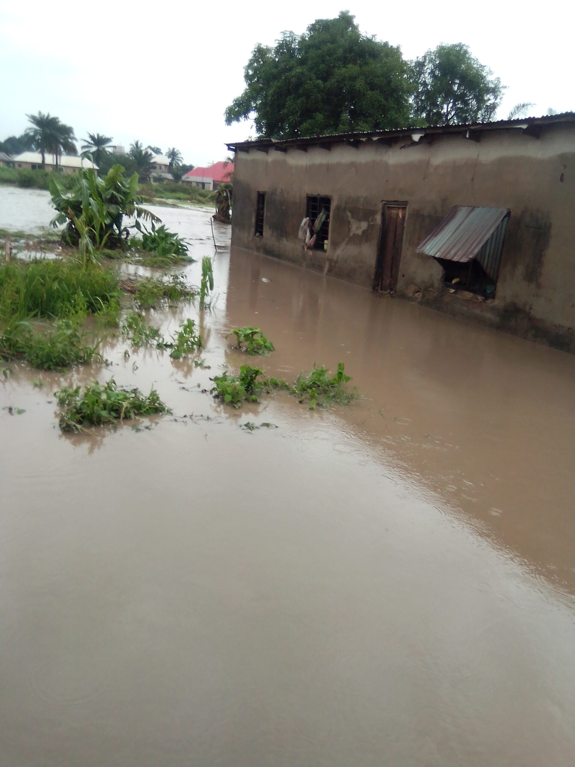 Flood Wreck Havoc in Benue State, Over 2000 Persons Rendered Homeless, Houses, Shops Submerged