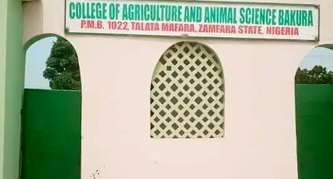 BREAKING: Abducted Zamfara College Students Regain Freedom