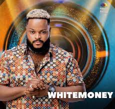 BBNAIJA 2021: Cooking, Sweeping not strategy to dogde eviction – White Money