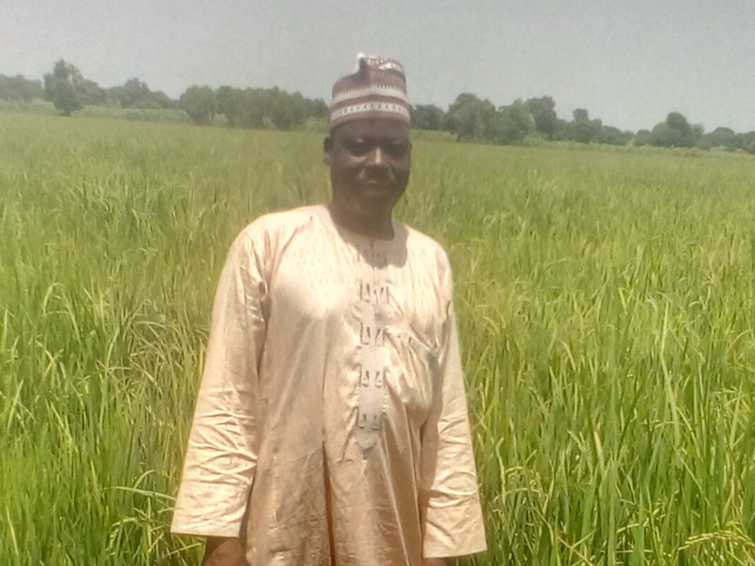 Nigerian Farmers Can Produce Enough Foods If Fully Supported- Usman Dan Gwari