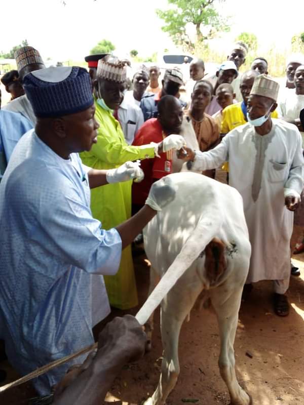 SOSG Launch Artificial Insemination Programme