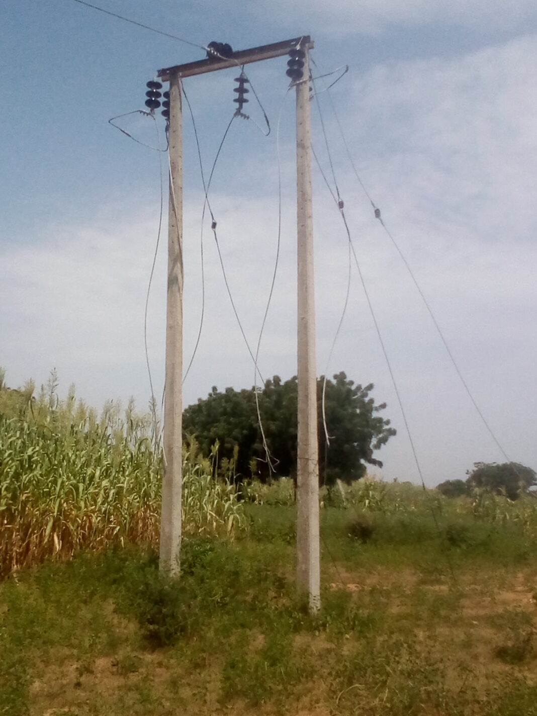 Bichi Local Government Council Suspends Saye Councilor, Residents Seek Reversal