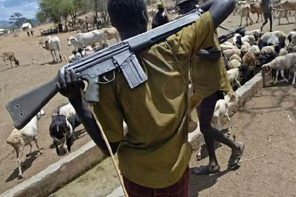 BREAKING: Terror herdsmen slaughter scores of villagers in Gombe