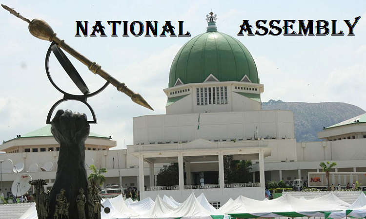 Senate passes Nigerian Airspace Management Agency Bill