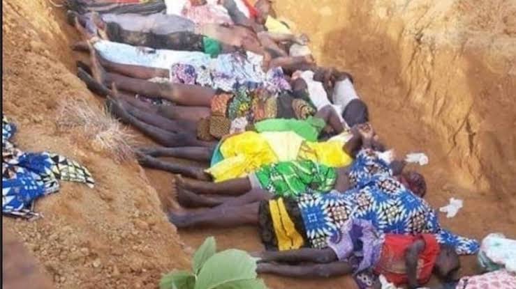 KILLINGS:Where are Northern elders?