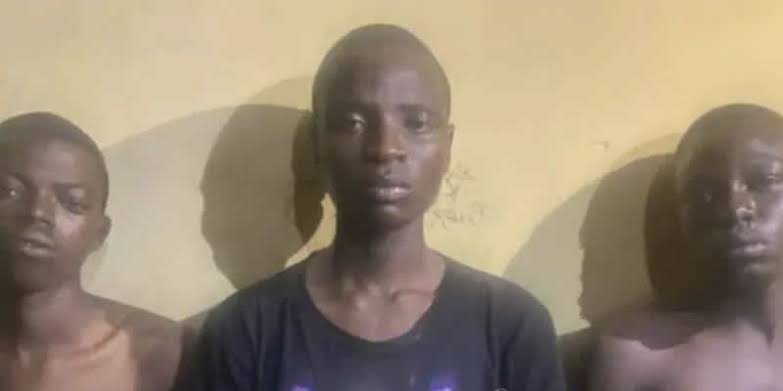 images - 2022-01-30T003904.254