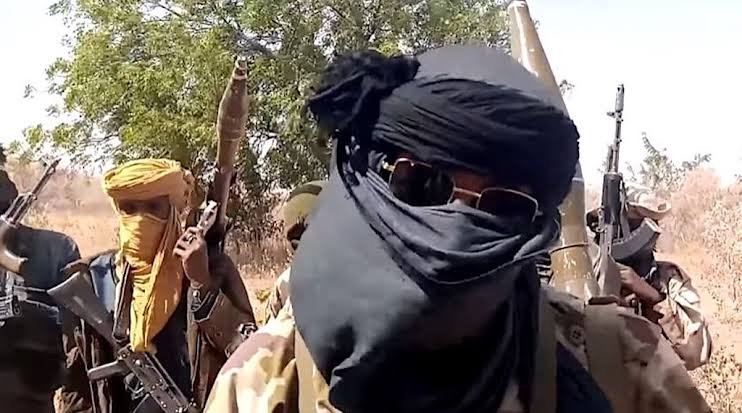 Terrorists invade Niger communities, kill two, scores abducted