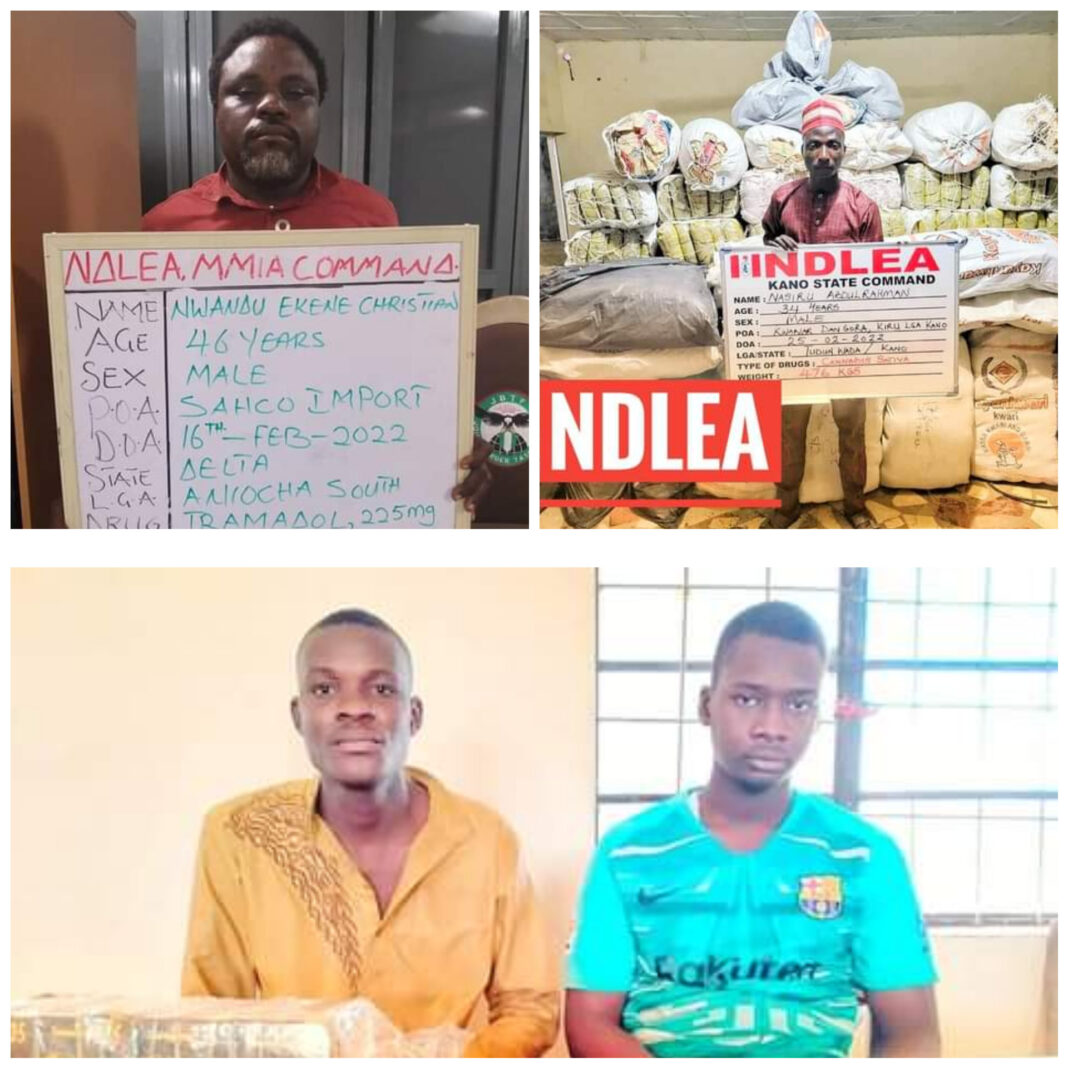 NDLEA Intercepts 809,850 Euros, Tramadol from Pakistan, Austria, Italy at Lagos Airport