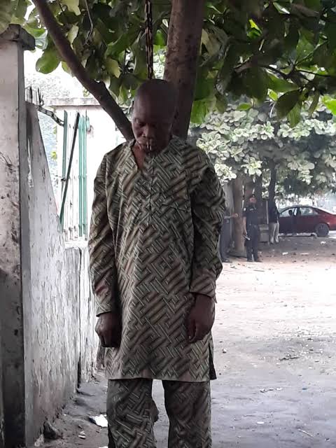 SUICIDE: Lifeless body found hanging from mango tree in Lagos community
