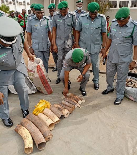 Four nabbed with N3.1b pangolin scales, elephant tusks–Customs