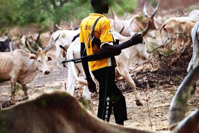 Suspected herdsmen invade Enugu villages, kill pregnant women, others