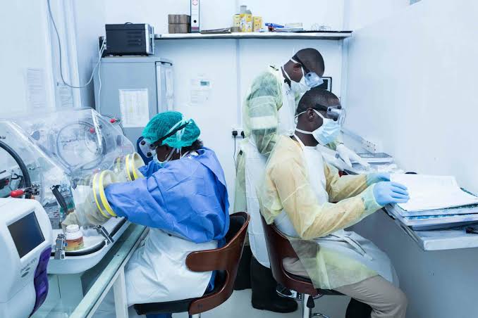 Lassa fever: Nigeria discivers 3 Drugs For  Treatment