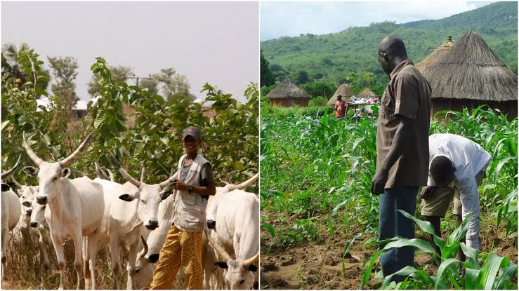 Farmers/herders’ clash: Nine die, many injured in Jigawa