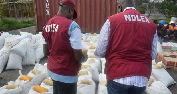 NDLEA arrests 111 drug traffickers in Kaduna