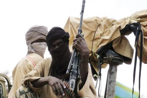 Terrorists set octogenarian ablaze in Niger