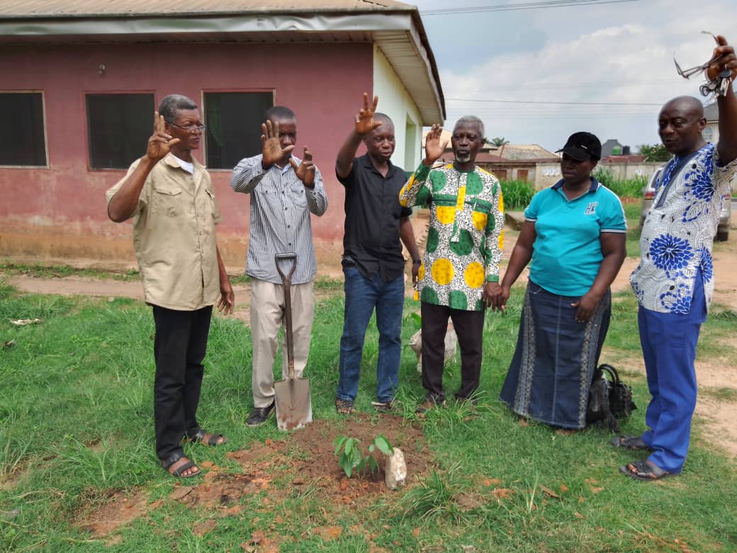 When trees are planted in honour of COVID-19 victims