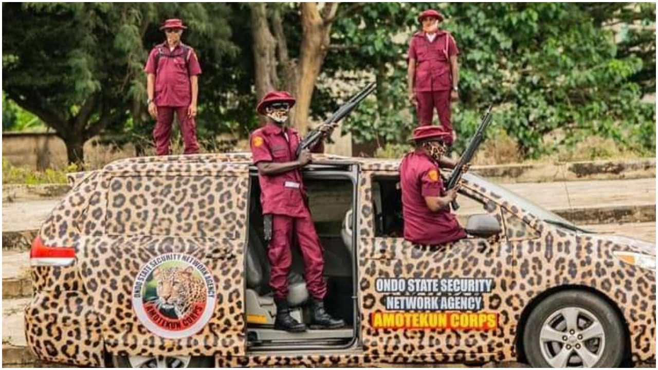 How Amotekun combed Oyo forest, recovered AK-47 rifles