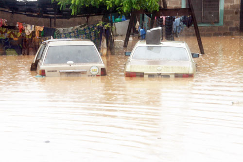 Uni Agric, other Areas Submerged as Flood wreck Havoc in Benue State