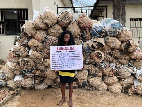 NDLEA Arrests Female Drug Dealer With 78 Bags Of Cannabis - Daybreak ...