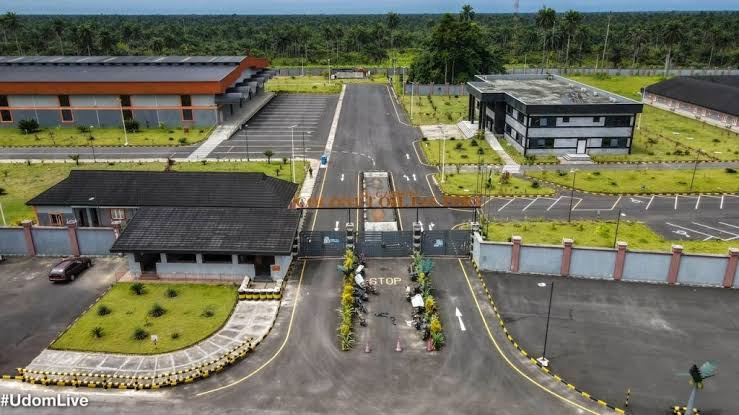 Coconut Oil Refinery: A’Ibom targets 2M coconut trees