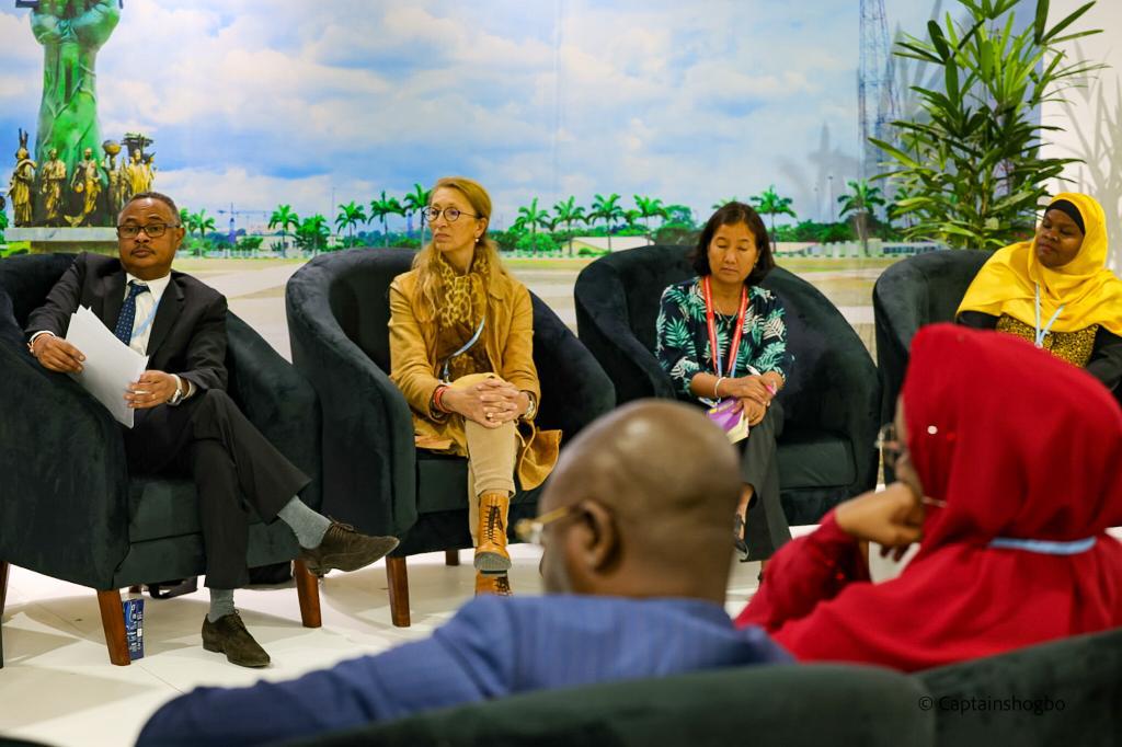 Climate change: Nigerian Government scaling up measures to contain extreme weather outcomes – Farouq