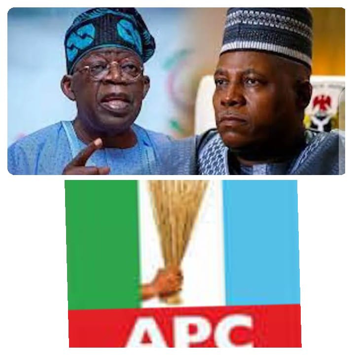 2023 Presidency: Bayelsa Group drums support for Tinubu, Shettima’s ticket