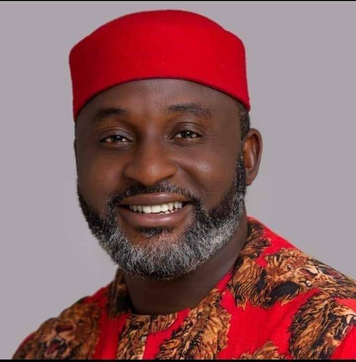 Nkeiruka Onyejeocha Loses Re-election To LP’s Ogah